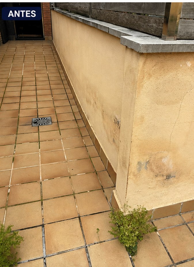 Capilaridad en planta baja de finca antigua en Gràcia — antes