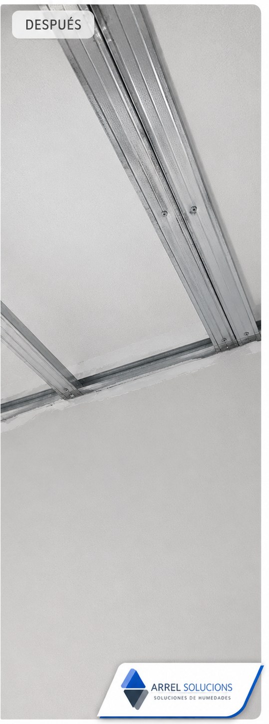 Moho recurrente en dormitorio del Poblenou — después