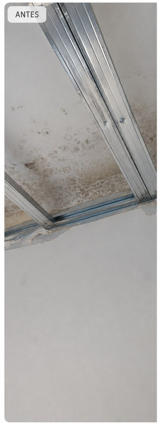 Moho recurrente en dormitorio del Poblenou — antes